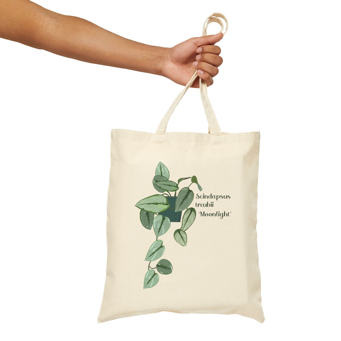 Scindapsus Treubii 'Moonlight' Canvas Tote Bag