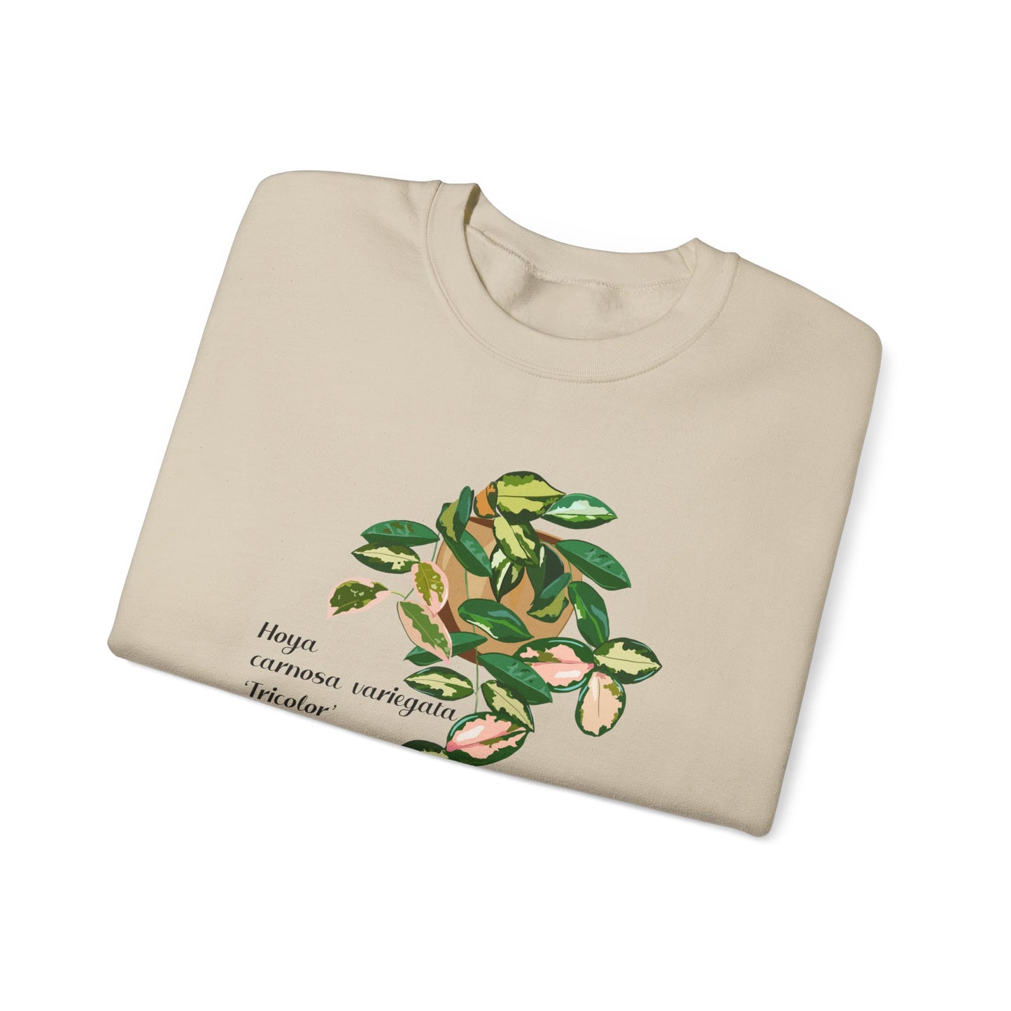 Hoya Carnosa Variegata Tricolor Plant Lover Crewneck Sweatshirt - Beige