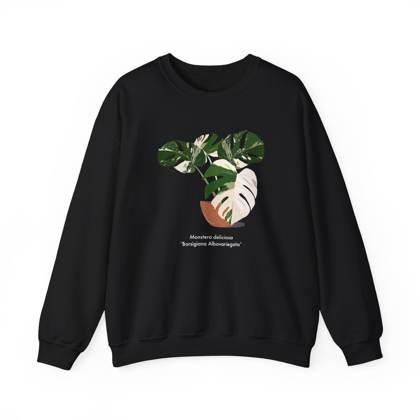 Monstera Deliciosa Borsigiana Albovariegata Plant Lover Crewneck Sweatshirt - Black