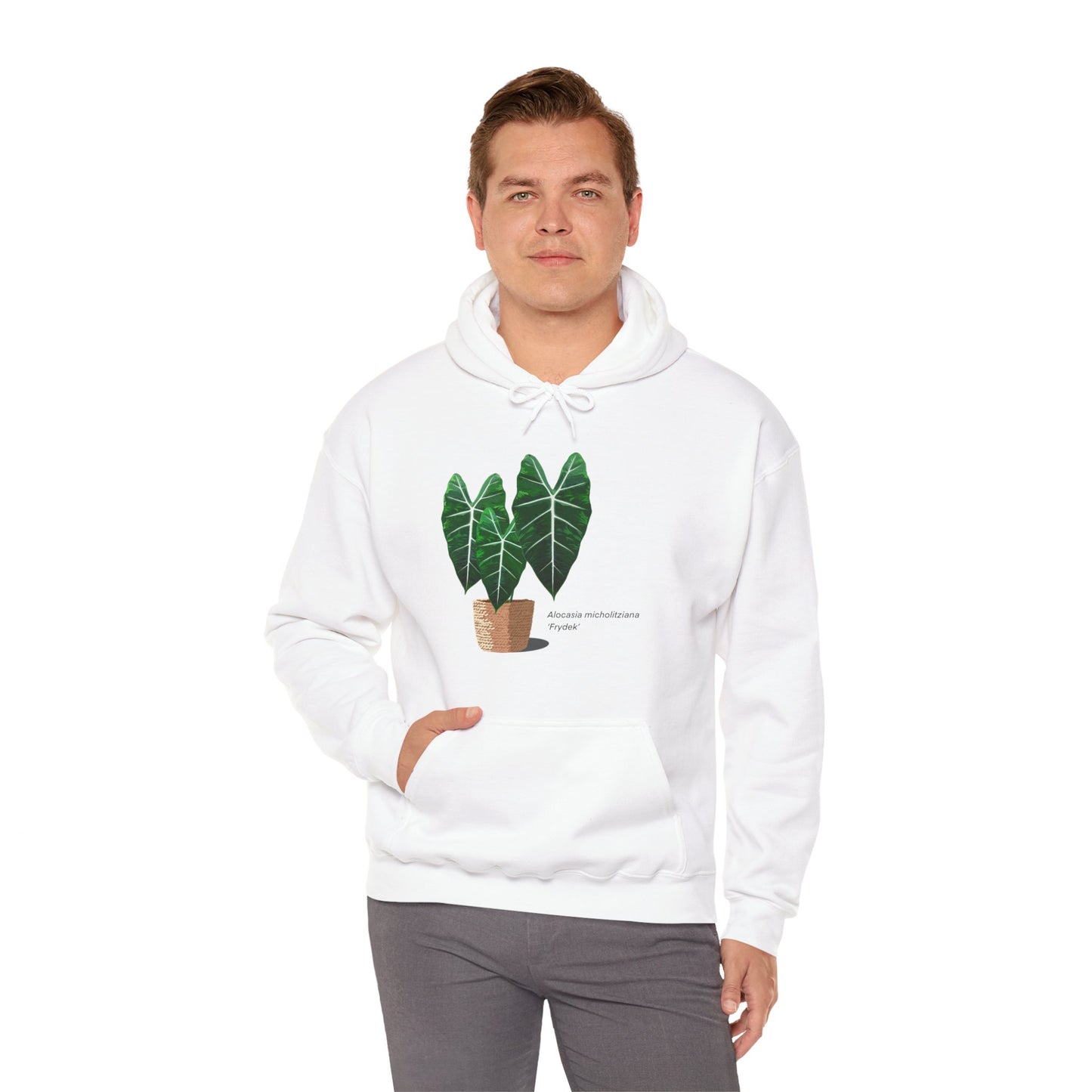 Alocasia Micholitziana 'Frydek' Plant Hoodie - White