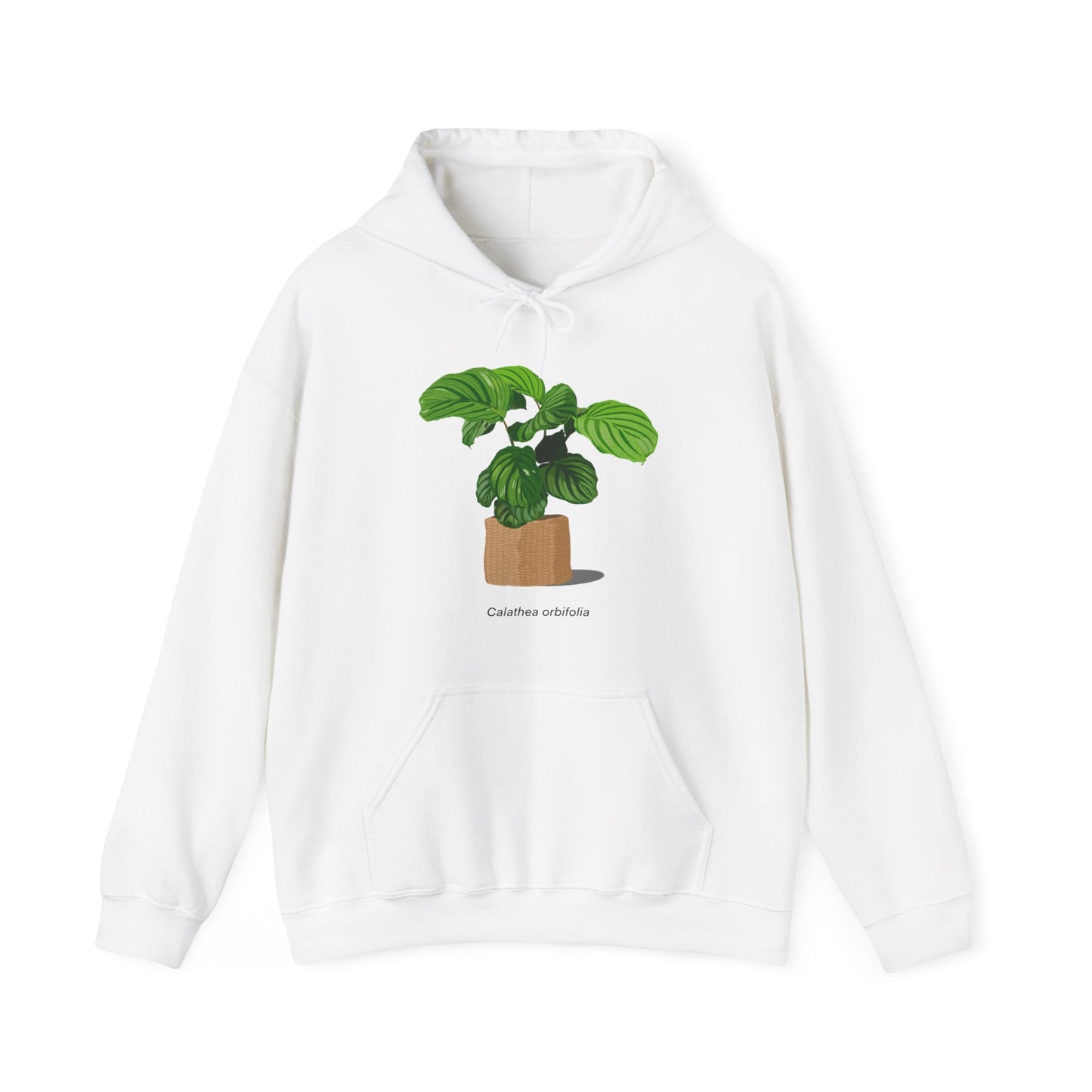 Calathea Orbifolia Plant Hoodie - White
