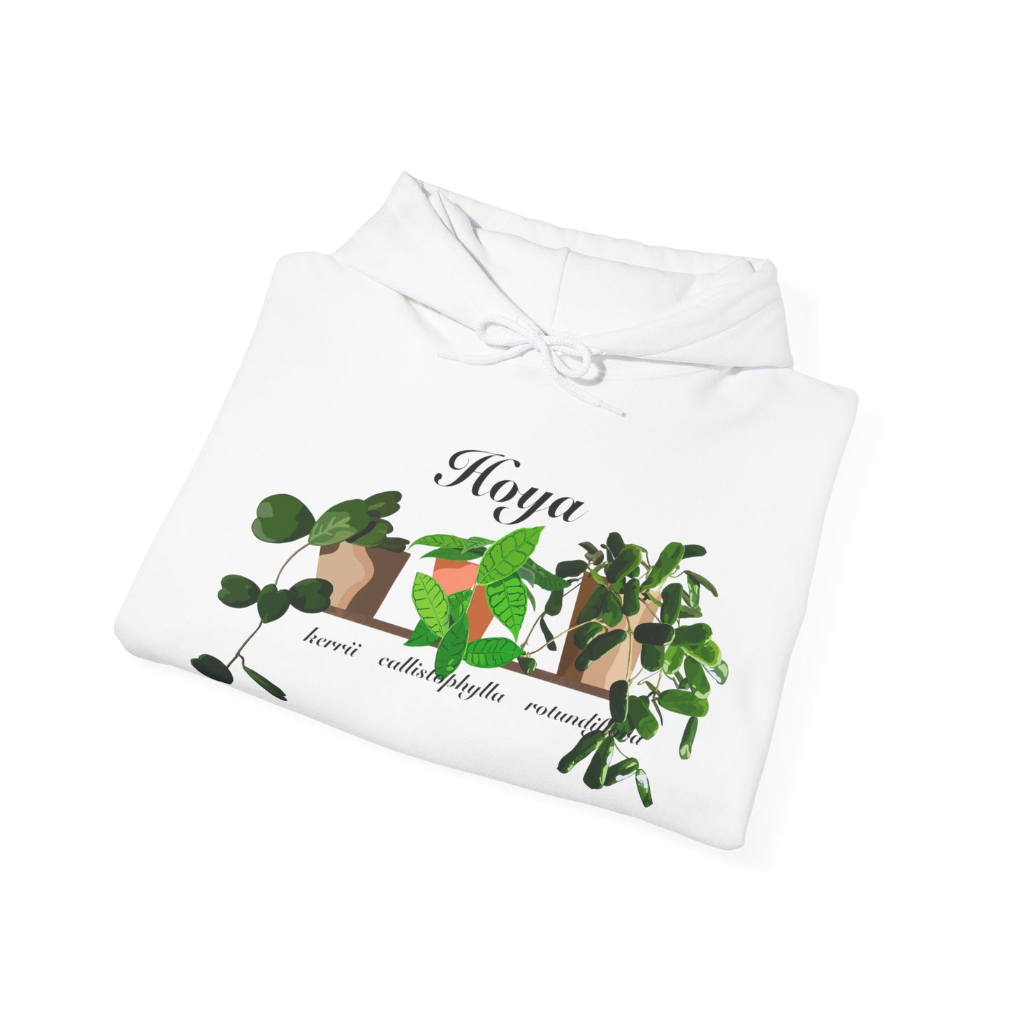 Hoya Kerrii, Callistophylla and Rotundiflora Trio Plant Hoodie - White
