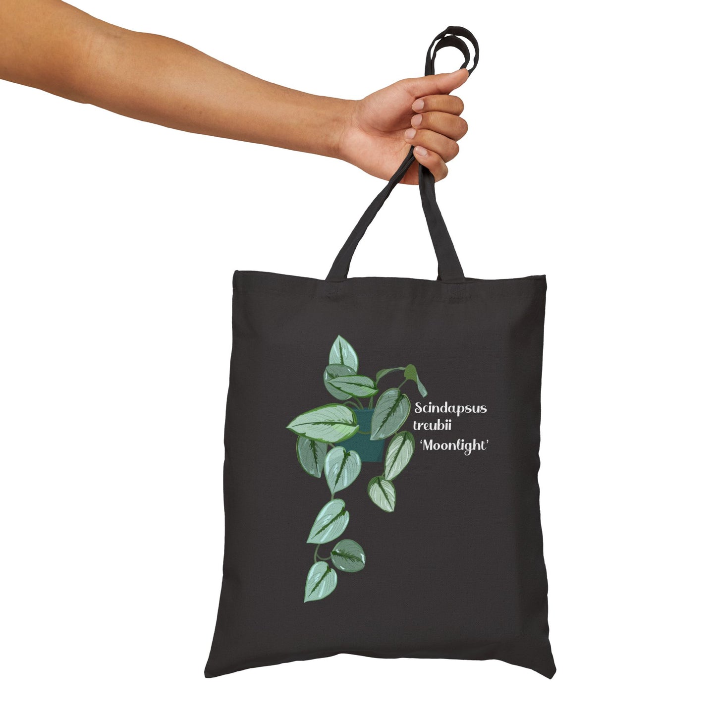 Scindapsus Treubii 'Moonlight' Canvas Tote Bag - Black