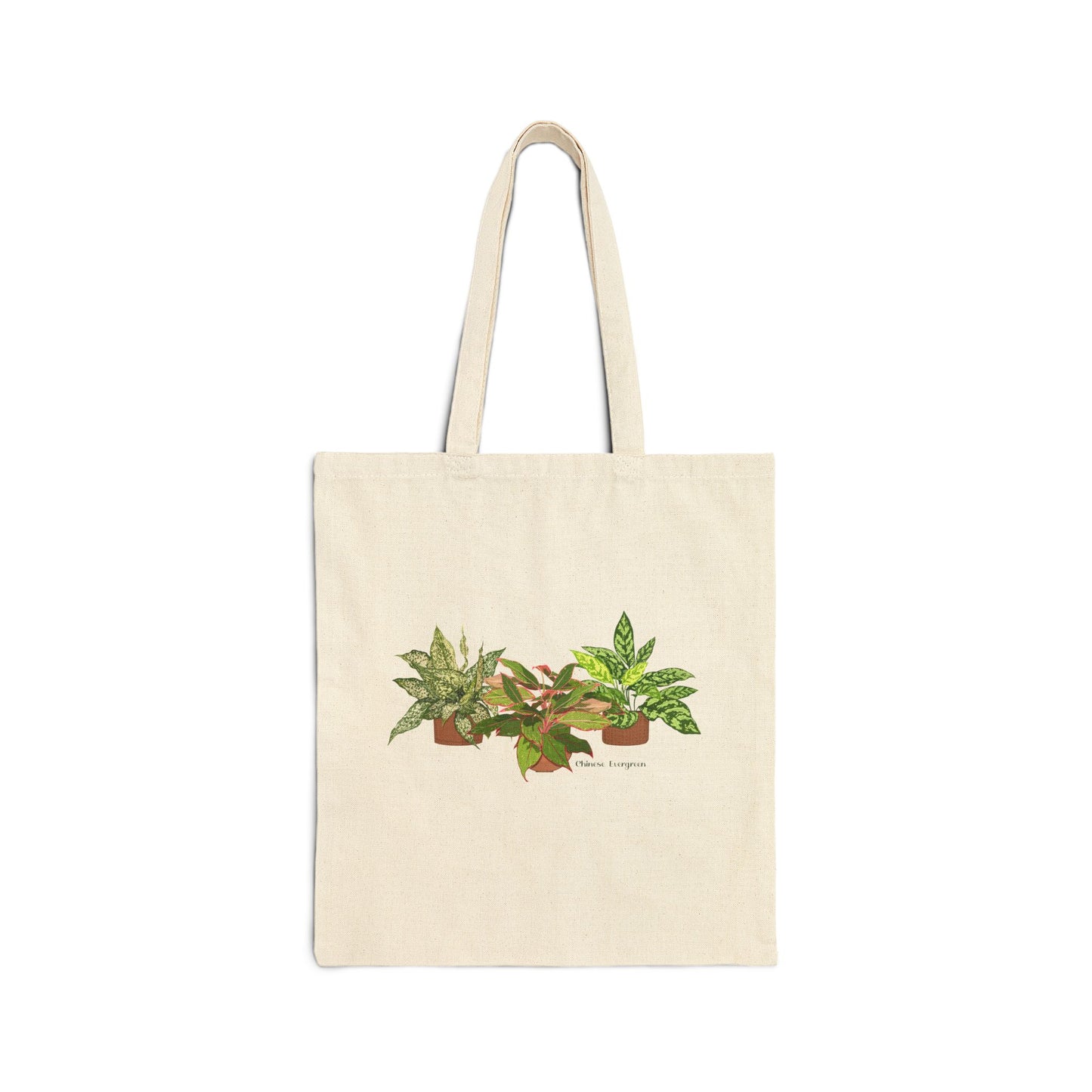 Chinese Evergreen Trio Plant Lover Canvas Tote Bag