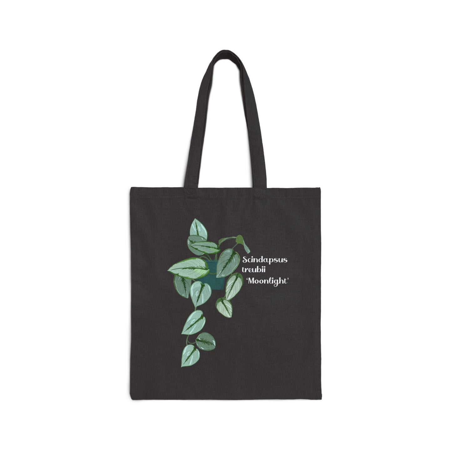 Scindapsus Treubii 'Moonlight' Canvas Tote Bag - Black