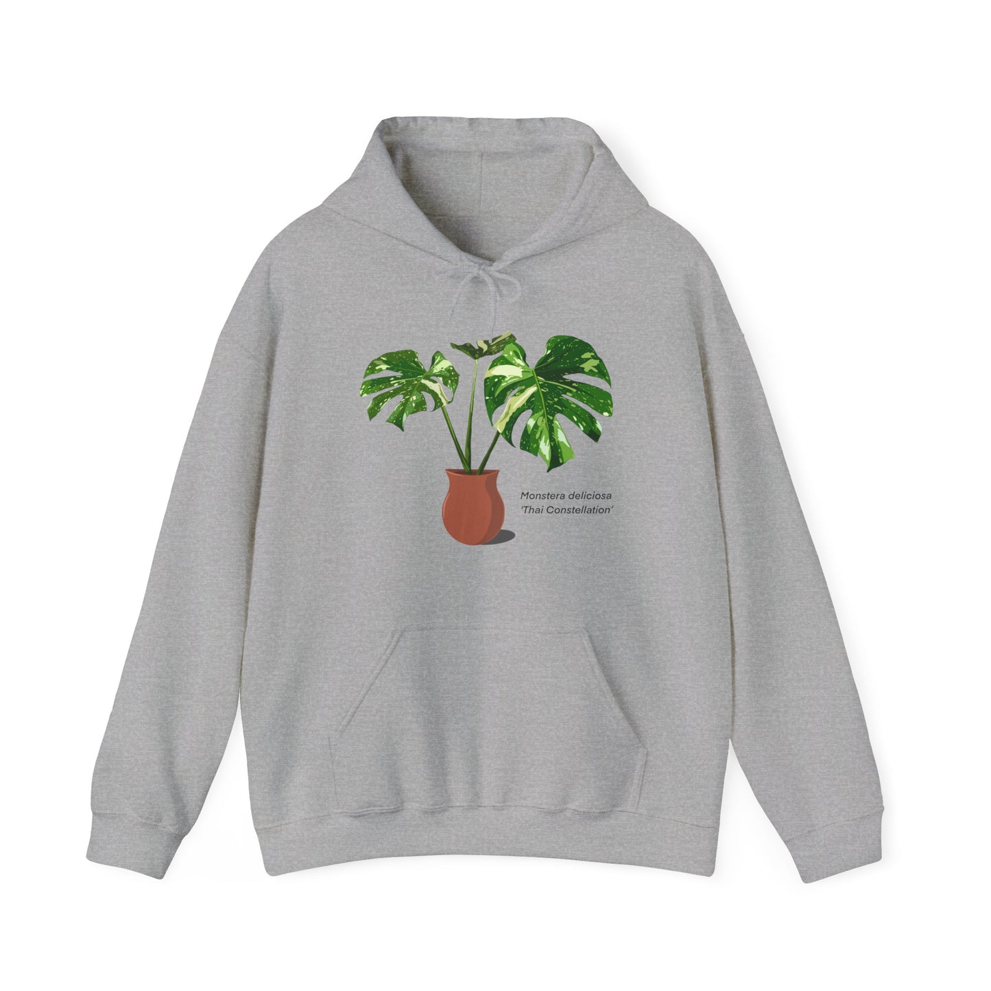 Monstera Deliciosa "Thai Constellation" Plant Hoodie - Grey
