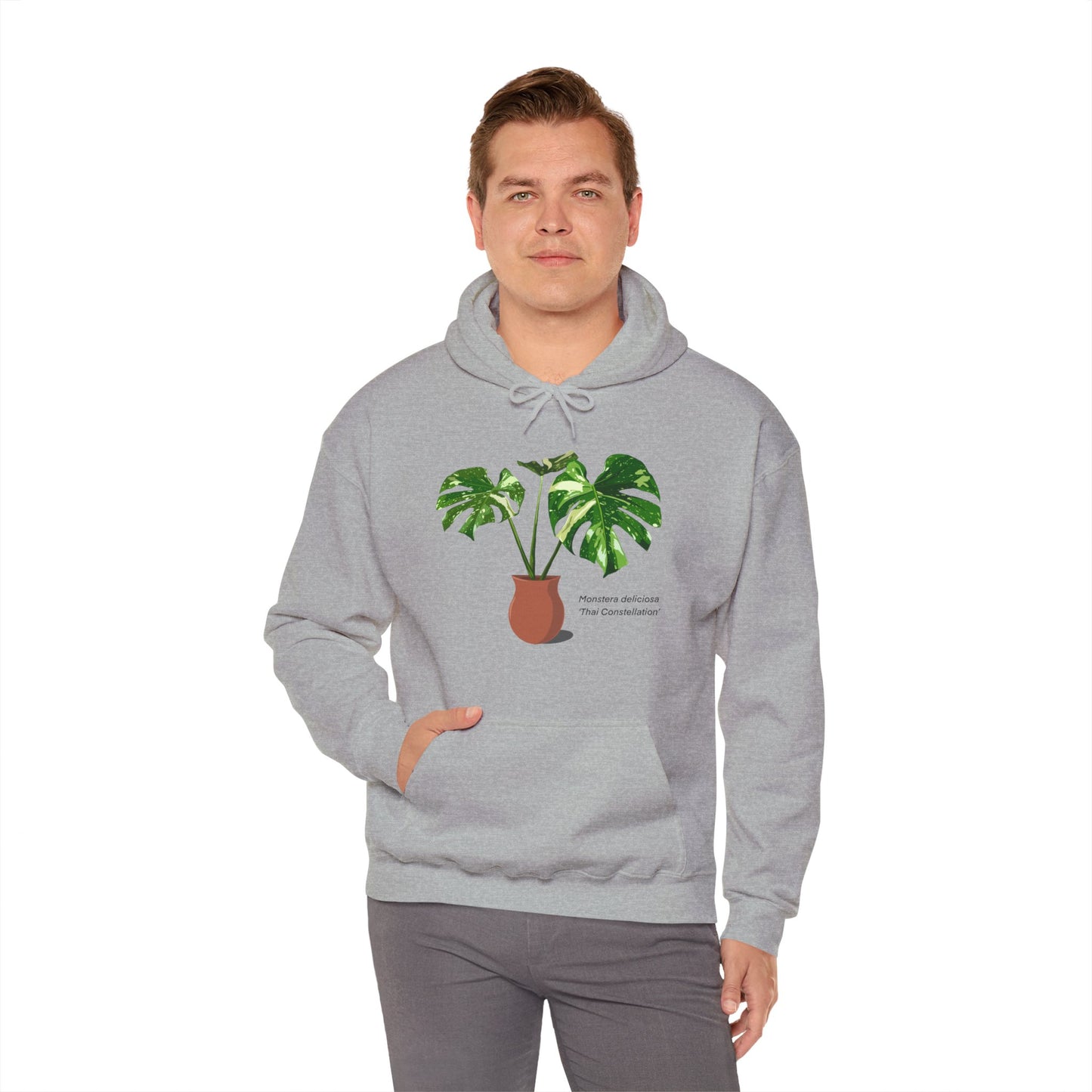 Monstera Deliciosa "Thai Constellation" Plant Hoodie - Grey