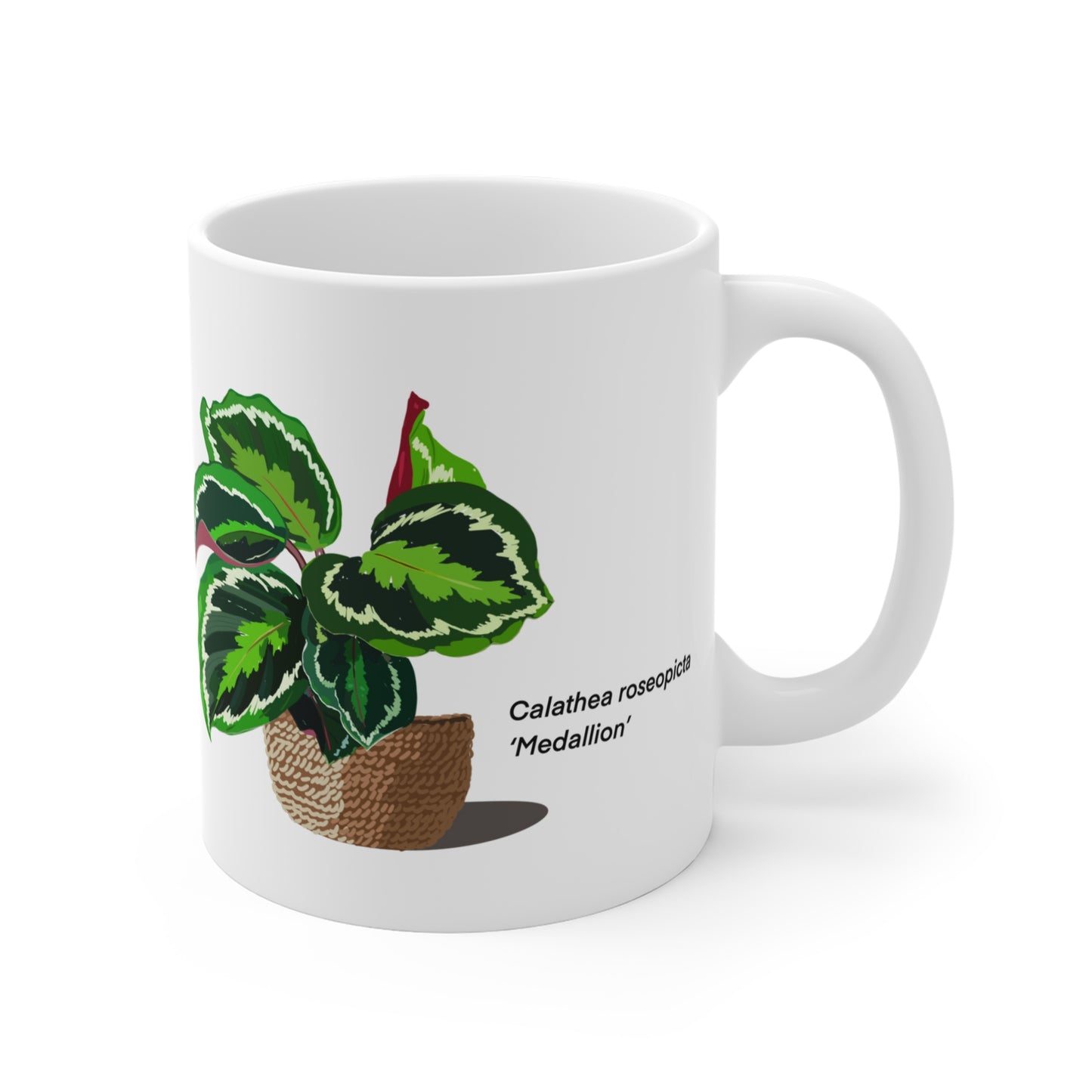Calathea Roseopicta "Medallion" Plant Lover Mug - White