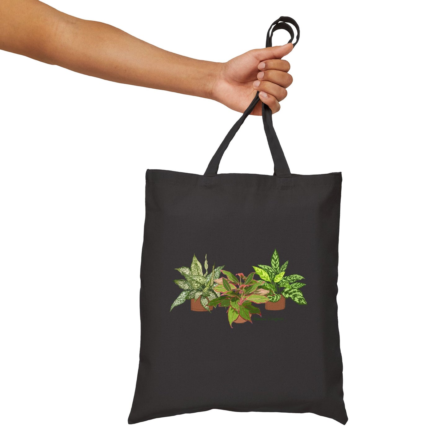 Chinese Evergreen Trio Plant Lover Canvas Tote Bag - Black
