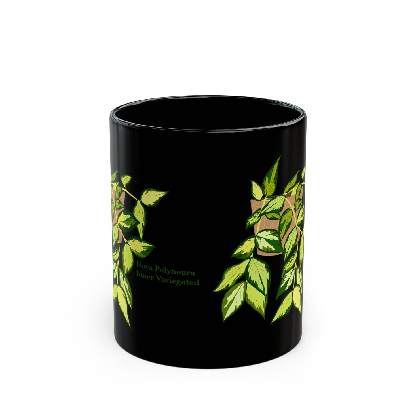 Hoya Polyneura Inner Variegated Plant Lover Mug - Black
