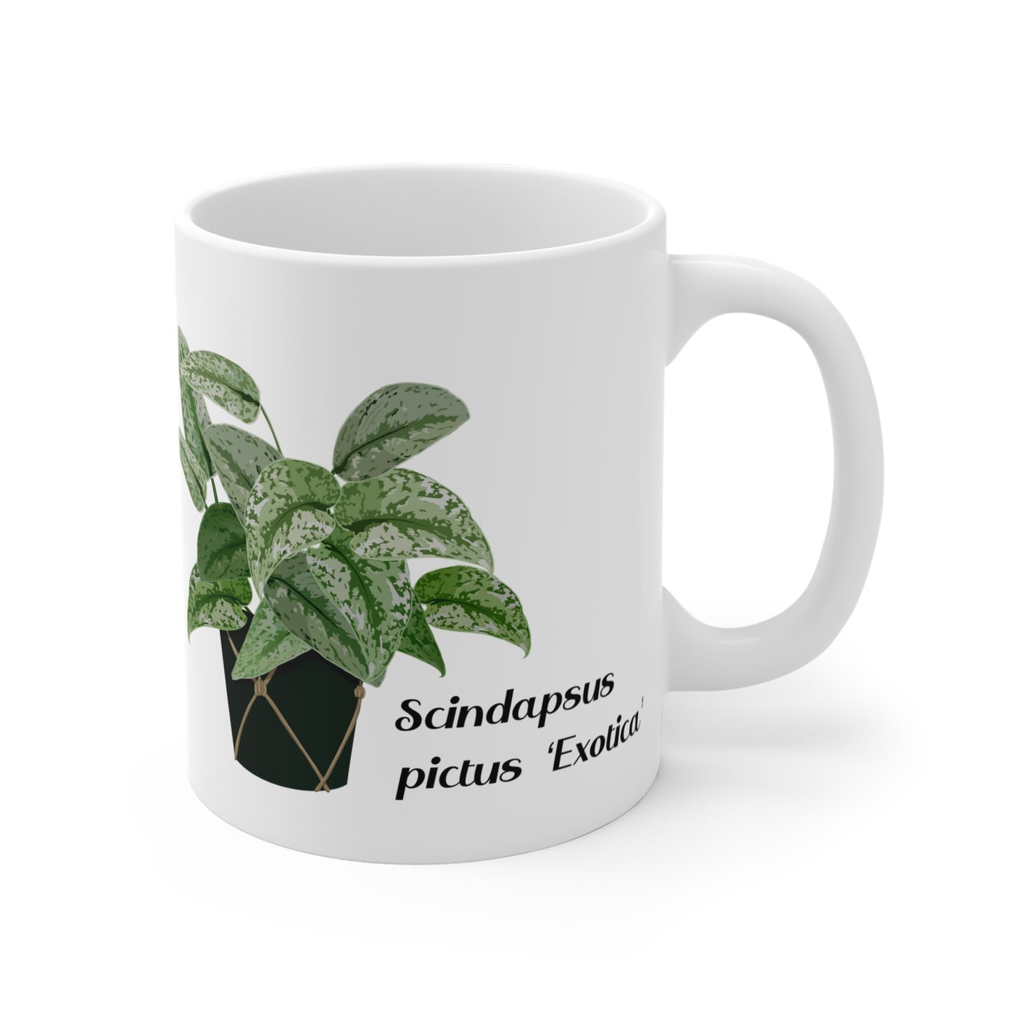 Scindapsus Pictus "Exotica" Plant Lover Mug - White