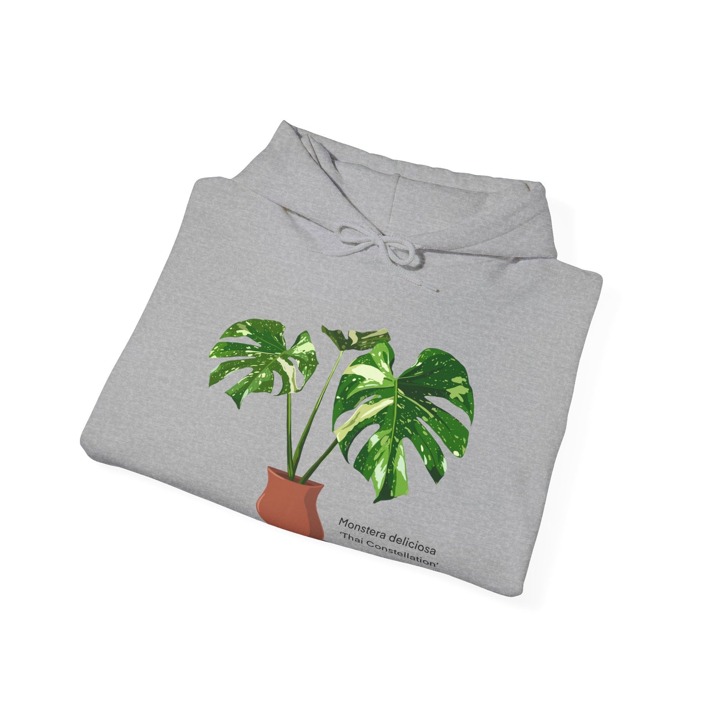 Monstera Deliciosa "Thai Constellation" Plant Hoodie - Grey