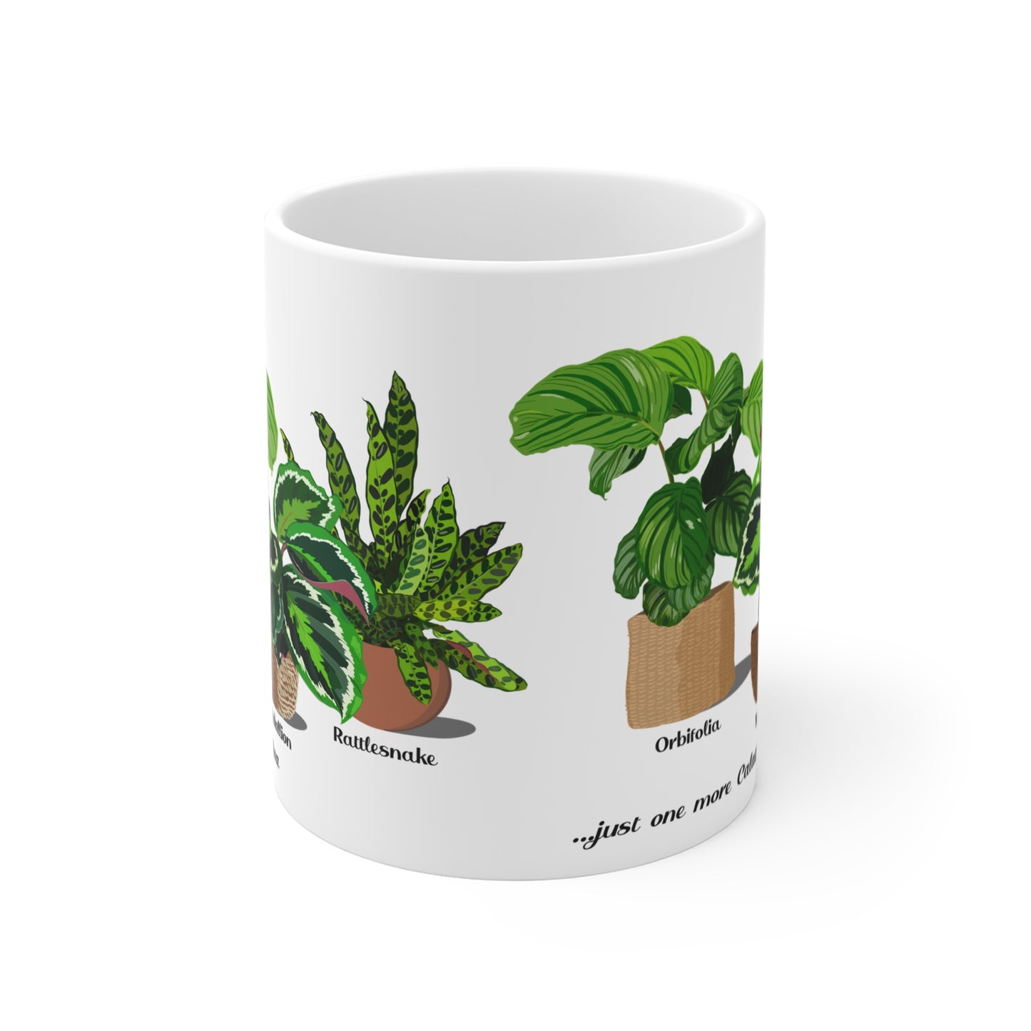 Calathea Orbifolia, Medallion and Rattlesnake Trio Plant Lover Mug - White