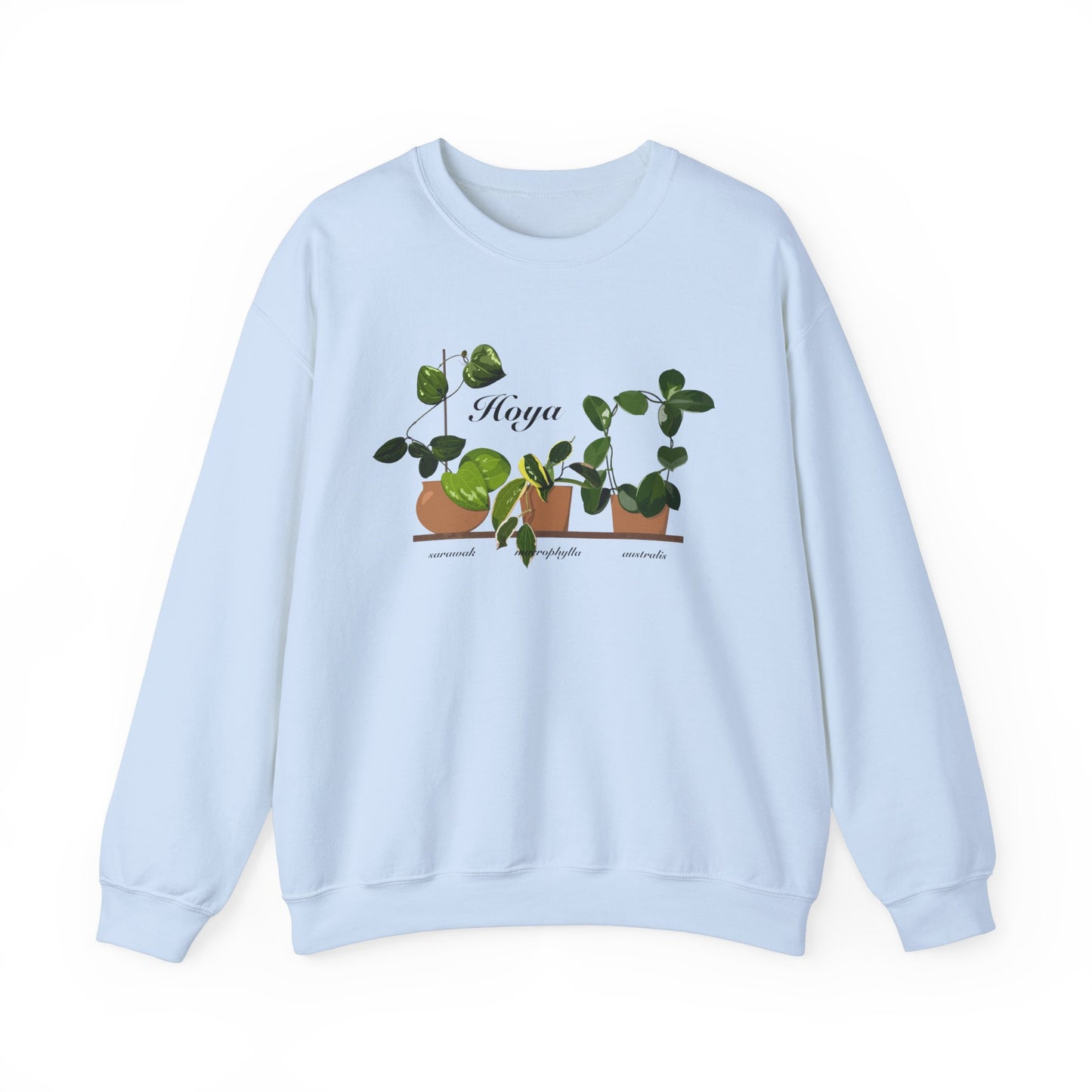 Hoya Sarawak, Macrophylla and Australis Trio Plant Lover Crewneck Sweatshirt - Light Blue