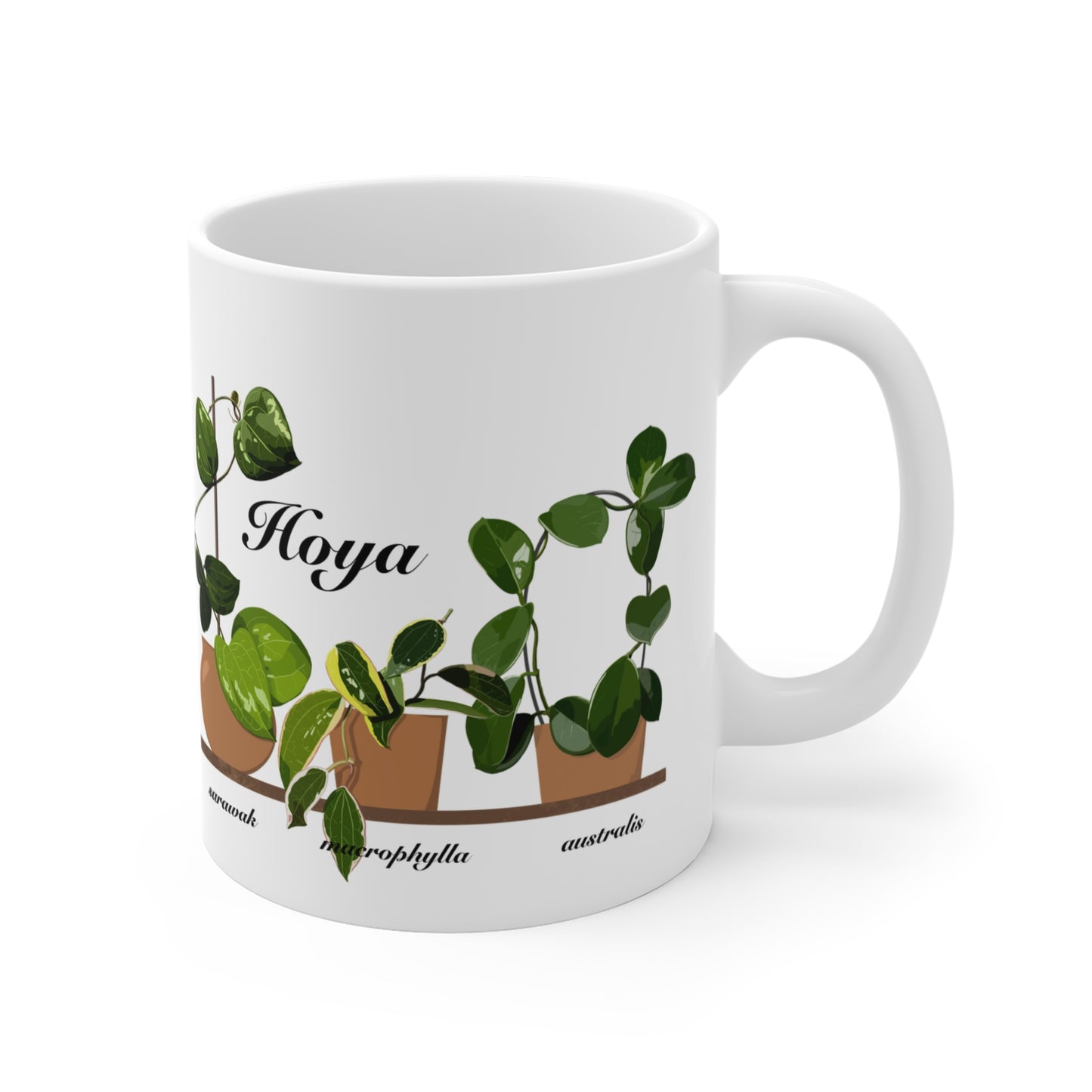 Hoya Sarawak, Macrophylla and Australis Trio Plant Lover Mug - White