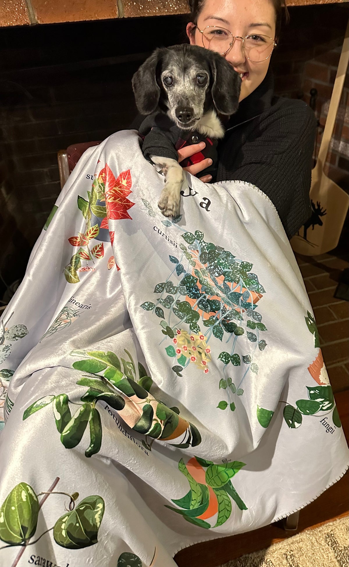 Blooming Hoya Chart Plant Lover Cozy Plush Blanket
