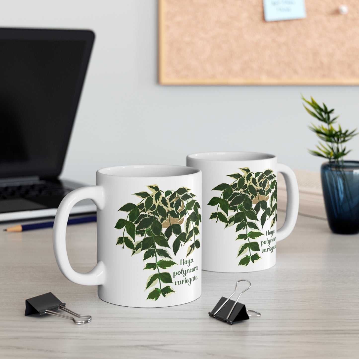 Hoya polyneura variegata mug. Perfect gift for Hoya fans, plant moms and dads, plant collectors and houseplant lovers! Nature lover mug.