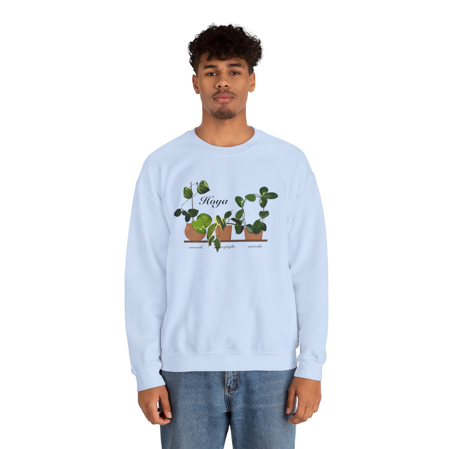 Hoya Sarawak, Macrophylla and Australis Trio Plant Lover Crewneck Sweatshirt - Light Blue