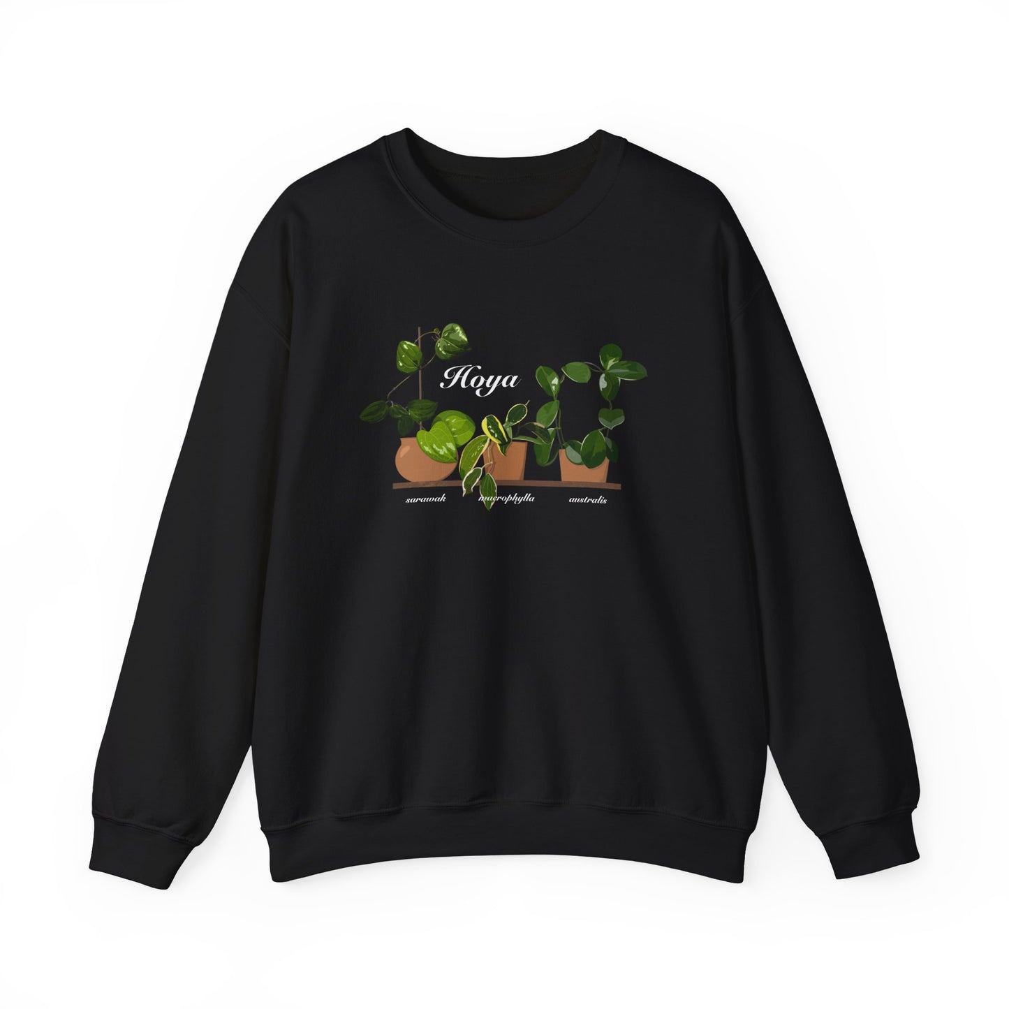 Hoya Sarawak, Macrophylla and Australis Trio Plant Lover Crewneck Sweatshirt - Black