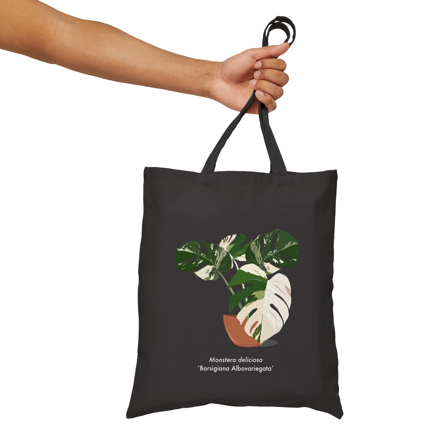 Monstera Deliciosa Borsigiana Albovariegata Canvas Tote Bag - Black