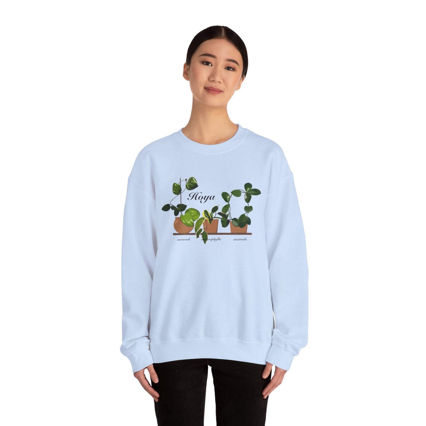 Hoya Sarawak, Macrophylla and Australis Trio Plant Lover Crewneck Sweatshirt - Light Blue