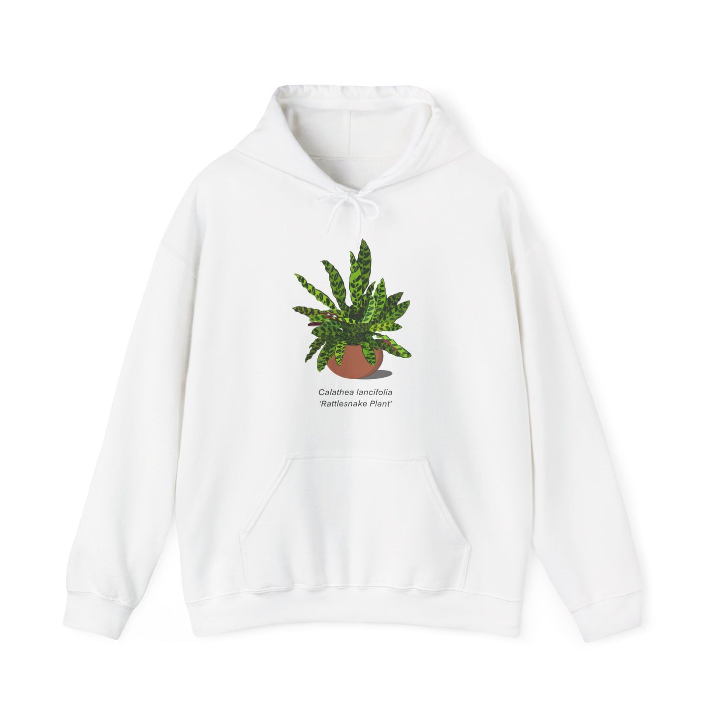 Calathea Lancifolia Rattlesnake Plant Hoodie - White