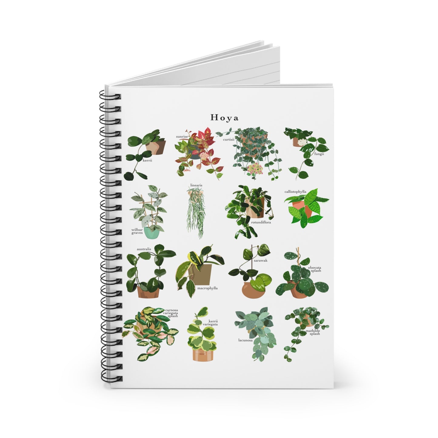 Hoya Chart spiral notebook with ruled line paper. Great for writing down plant wish list, new ideas, to do list, shopping list and journal. Perfect gift for plant lovers.