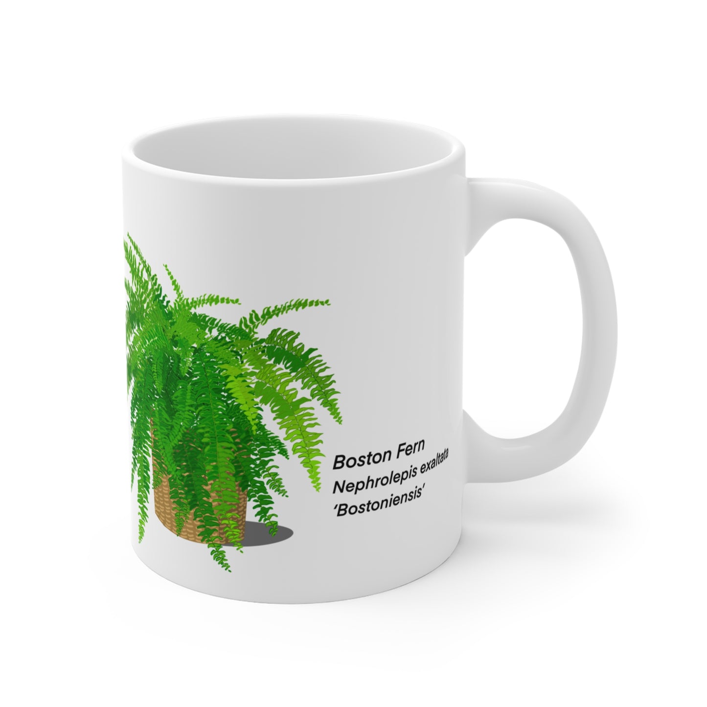 Boston Fern Plant Lover Mug - White
