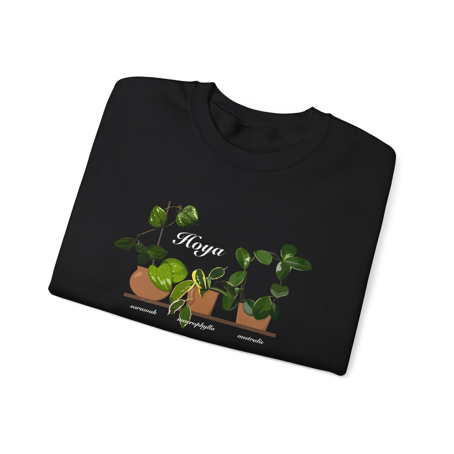 Hoya Sarawak, Macrophylla and Australis Trio Plant Lover Crewneck Sweatshirt - Black