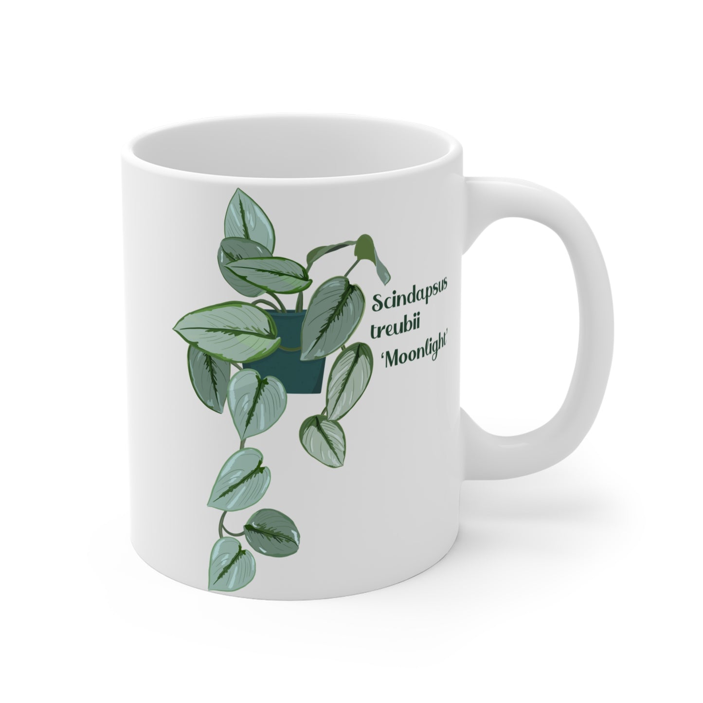 Scindapsus Treubii "Moonlight" Plant Lover Mug - White