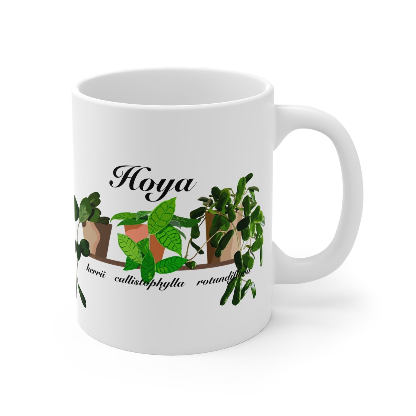 Hoya Kerrii, Callystophylla and Rotundiflora Plant Lover Mug - White