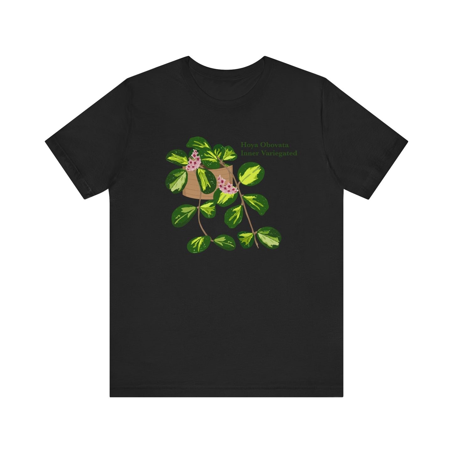 Hoya Obovata Inner Variegated T-Shirt - Black