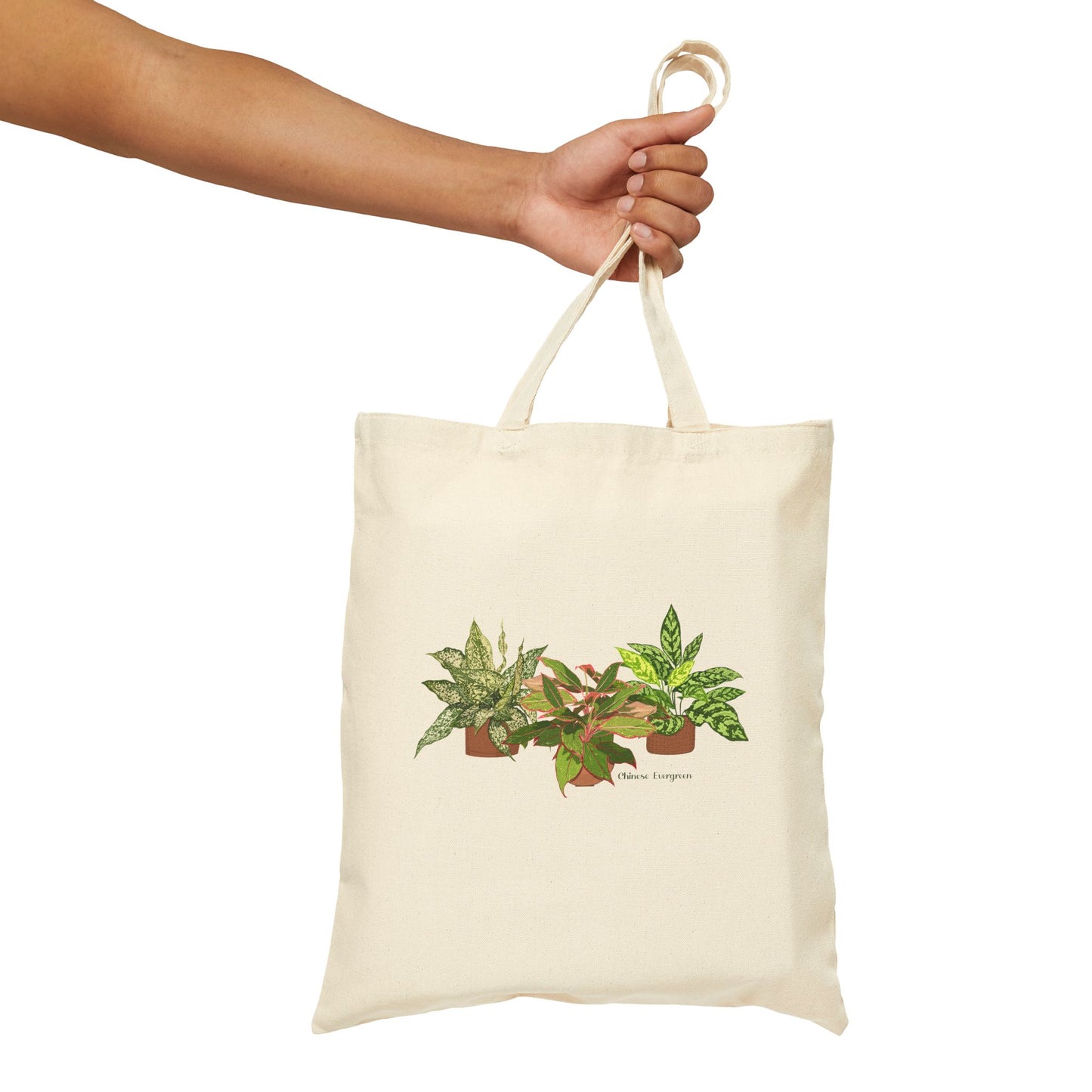 Chinese Evergreen Trio Plant Lover Canvas Tote Bag
