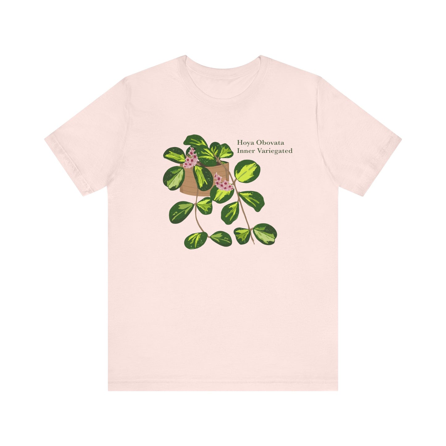 Hoya Obovata Inner Variegated T-Shirt - Light Pink