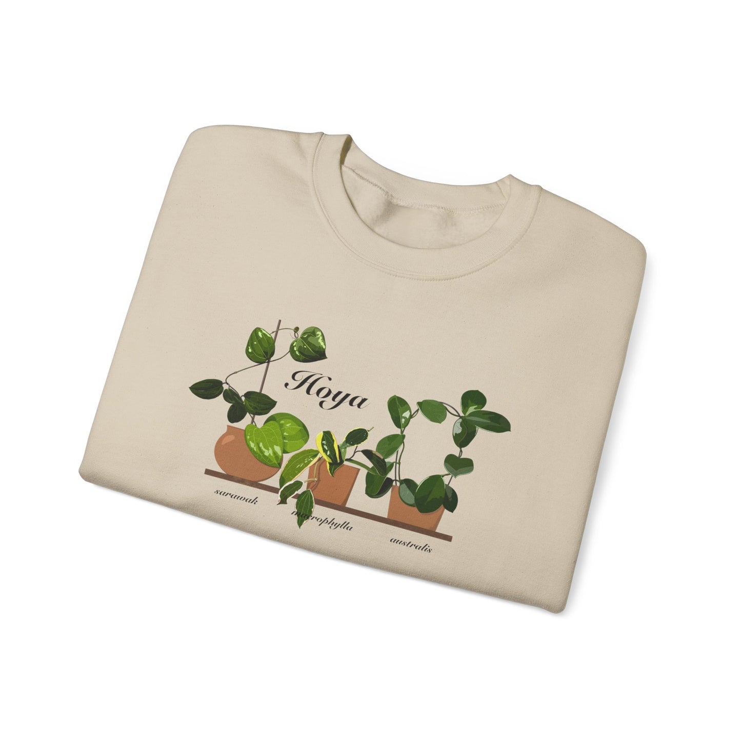 Hoya Sarawak, Macrophylla and Australis Trio Plant Lover Crewneck Sweatshirt - Beige