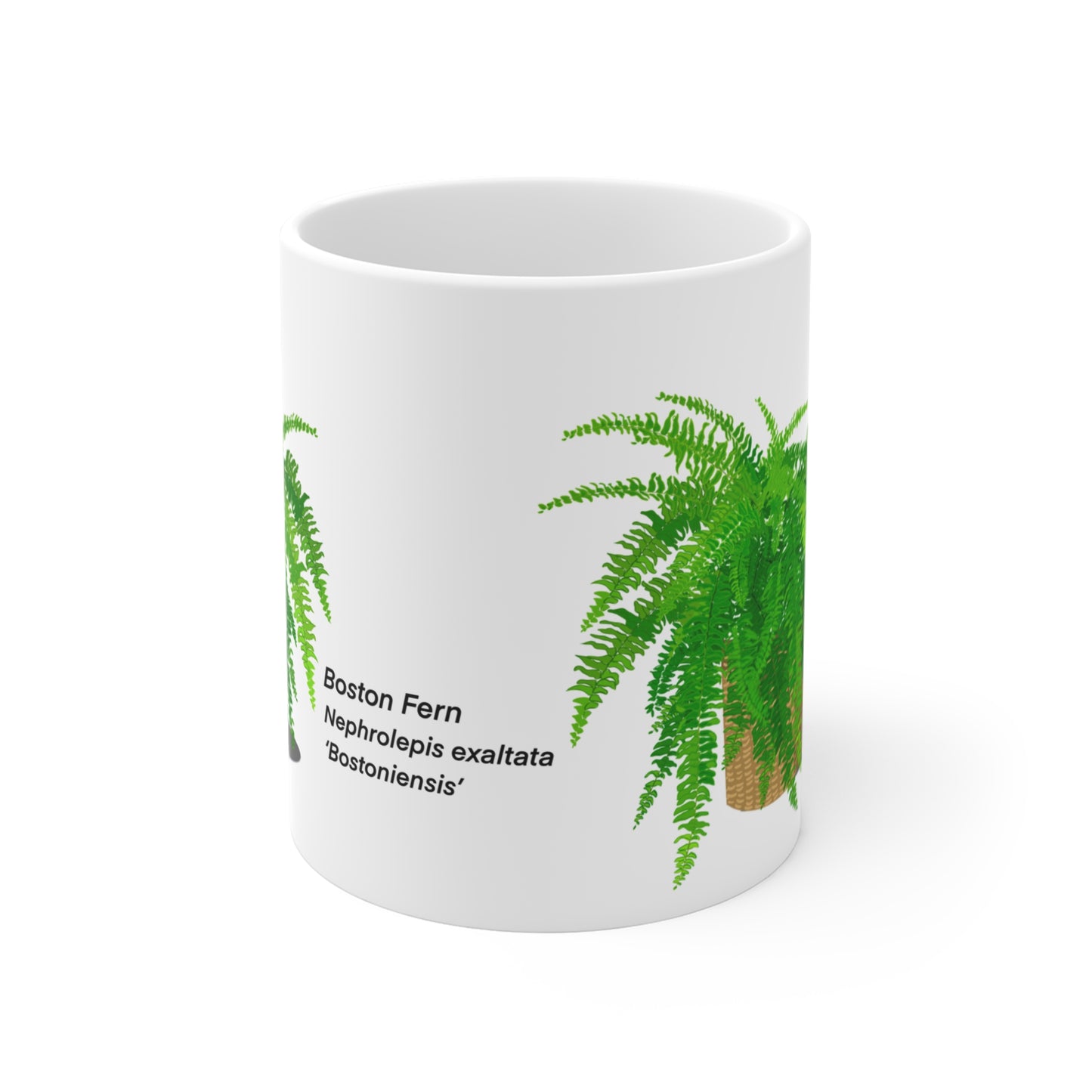 Boston Fern Plant Lover Mug - White