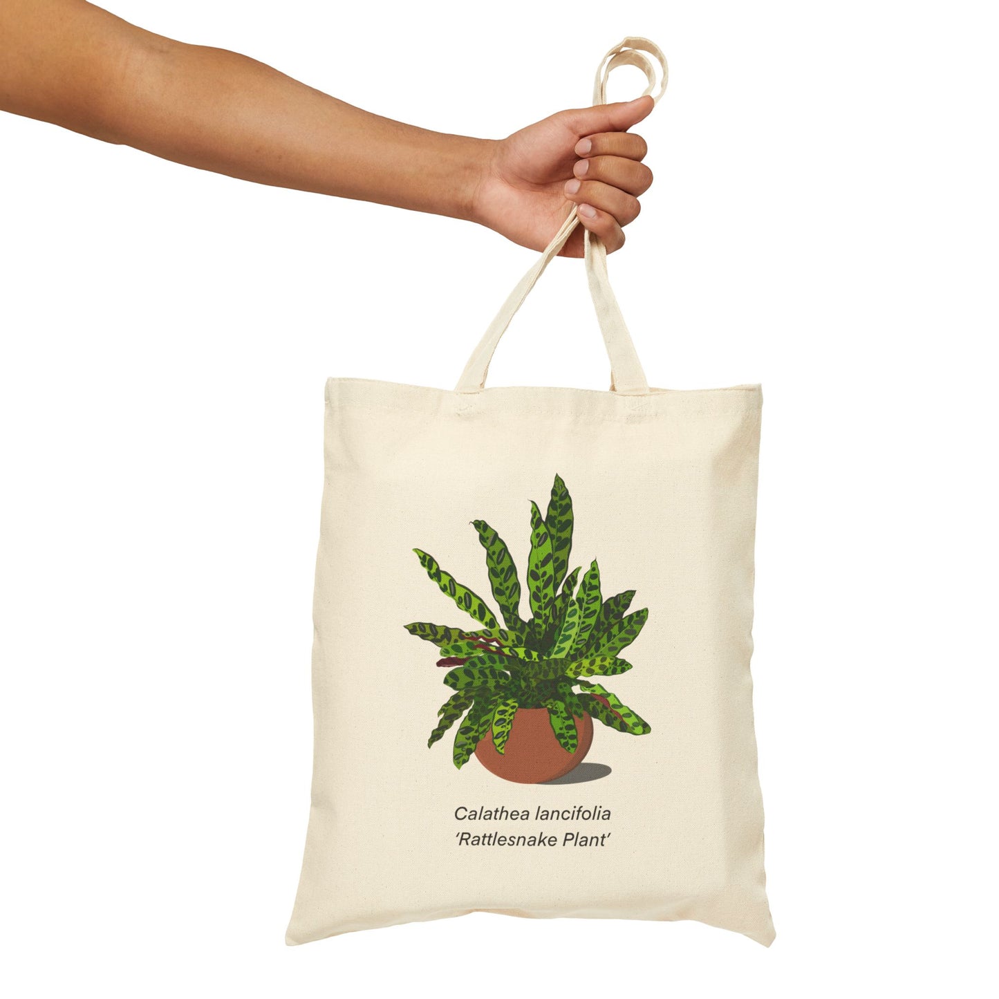 Calathea Lancifolia Rattlesnake Plant Lover Canvas Tote Bag