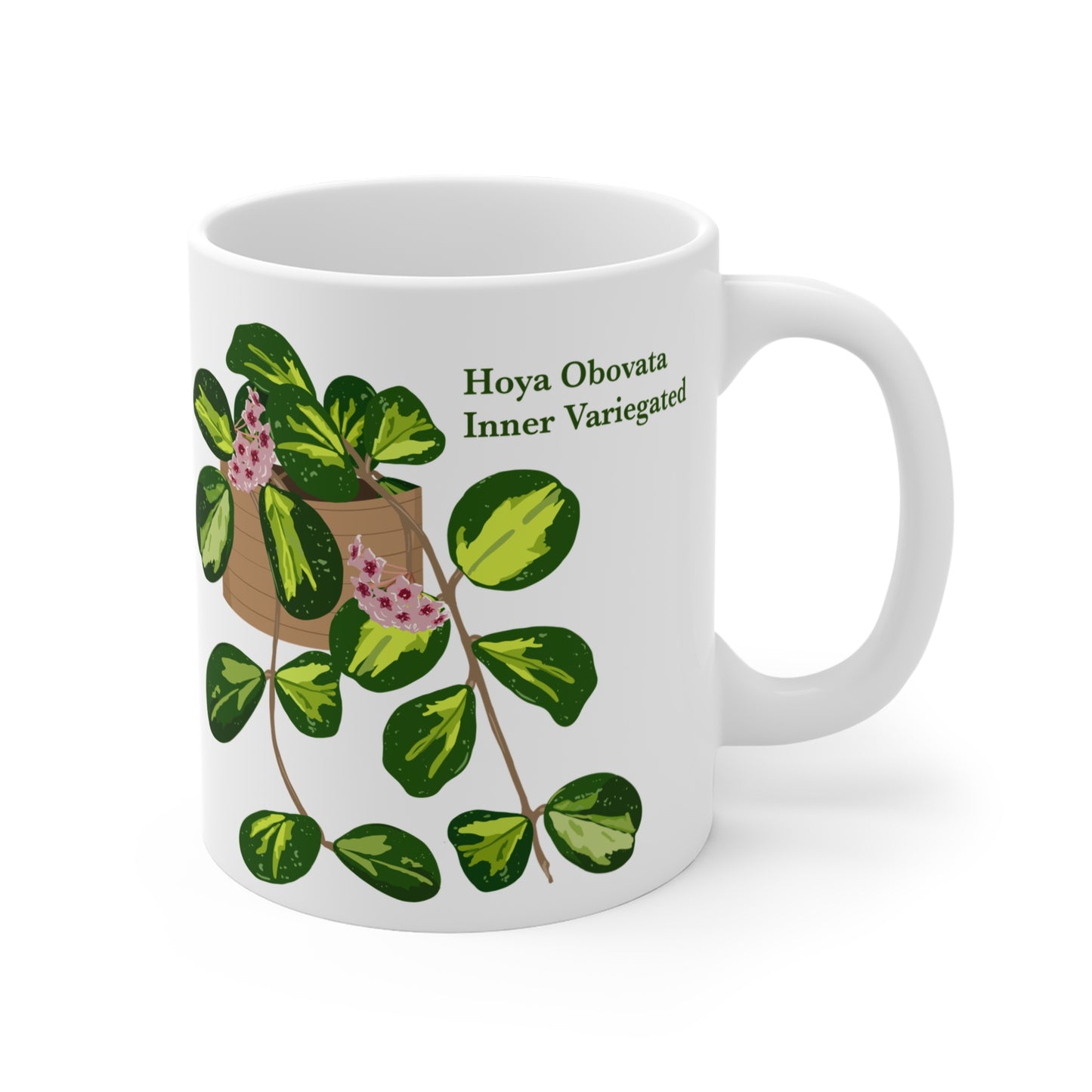 Hoya Obovata Inner Variegated Plant Lover Mug - White