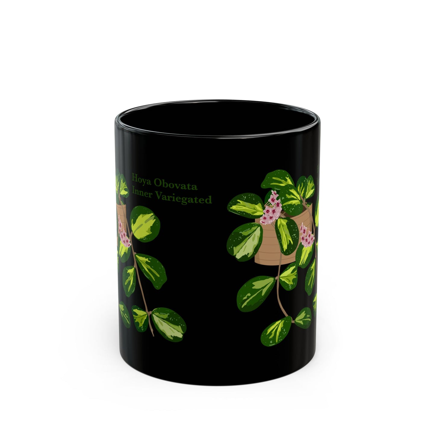 Hoya Obovata Inner Variegated Plant Lover Mug - Black