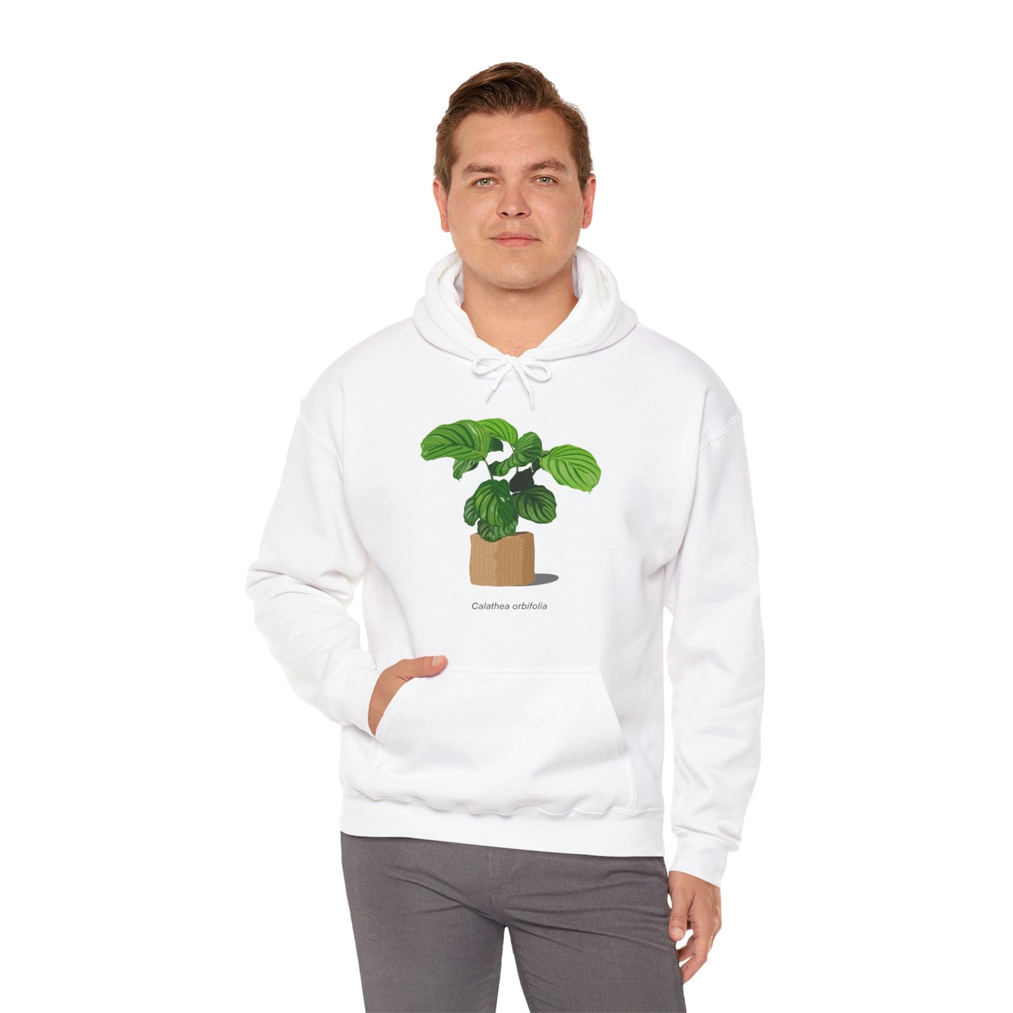Calathea Orbifolia Plant Hoodie - White