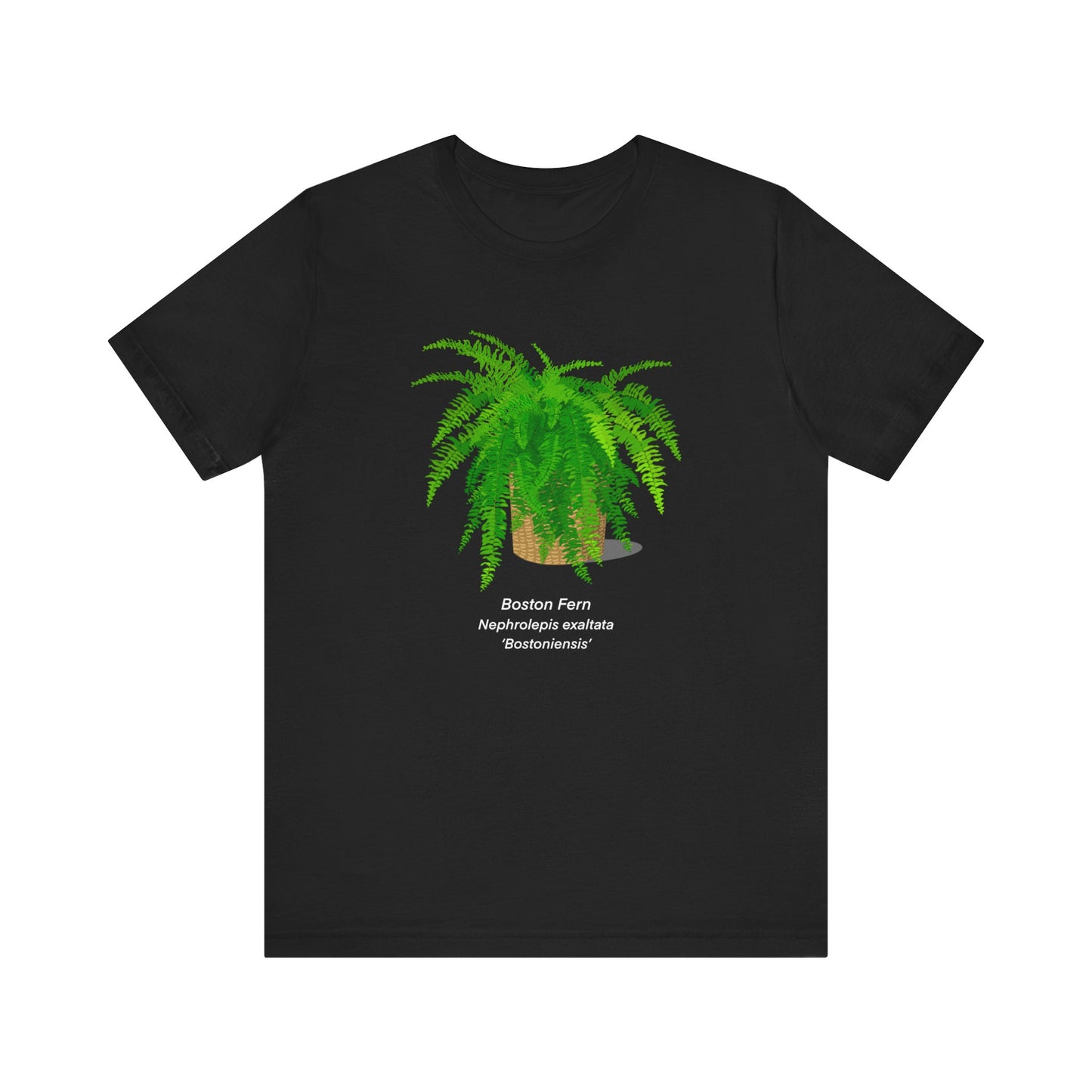 Boston Fern Plant Lover T-Shirt - Black