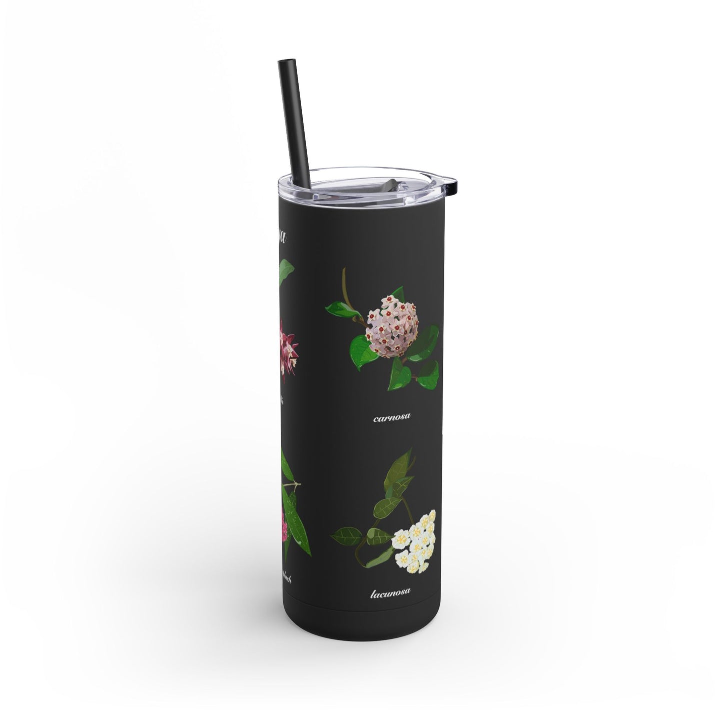 Hoyas in Bloom Design on Maars Maker Skinny Matte Tumbler, 20oz for Plant and Flower Lovers