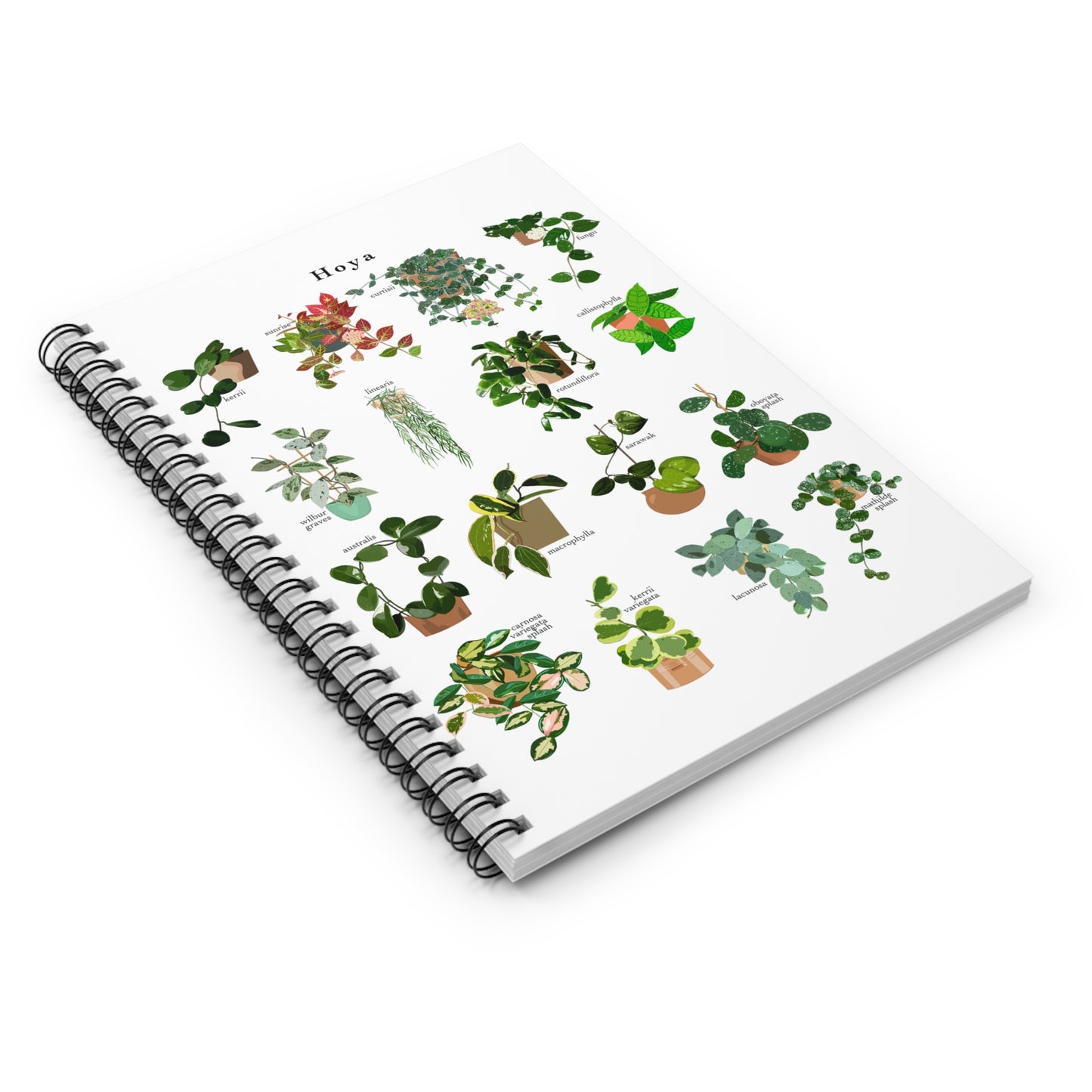 Hoya Chart spiral notebook with ruled line paper. Great for writing down plant wish list, new ideas, to do list, shopping list and journal. Perfect gift for plant lovers.