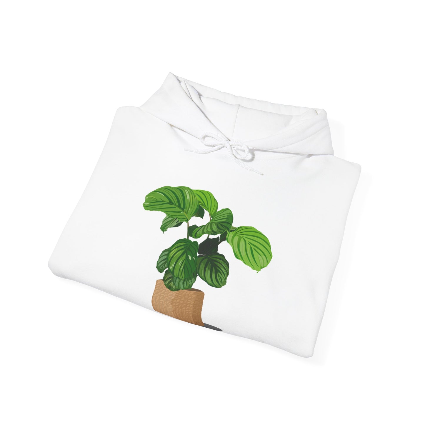 Calathea Orbifolia Plant Hoodie - White