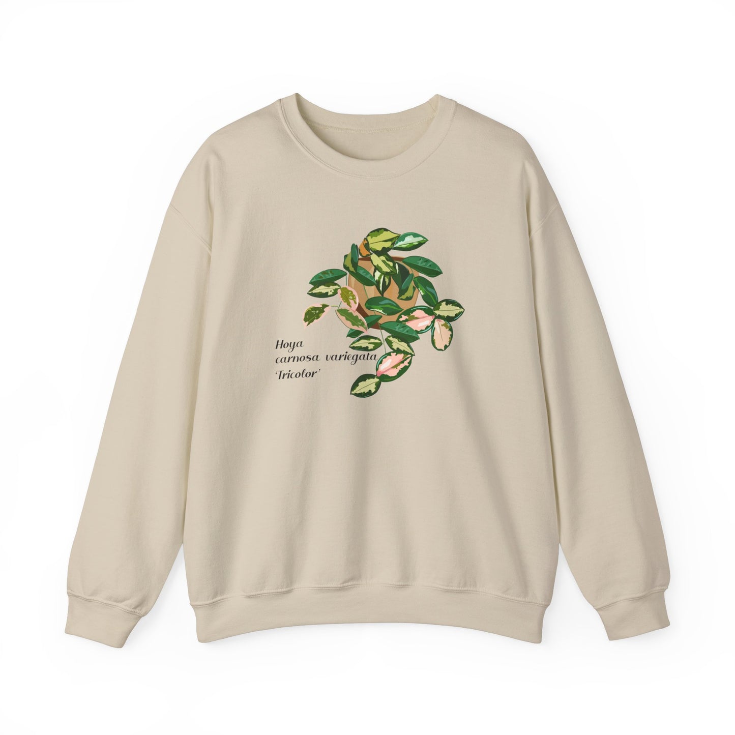 Hoya Carnosa Variegata Tricolor Plant Lover Crewneck Sweatshirt - Beige