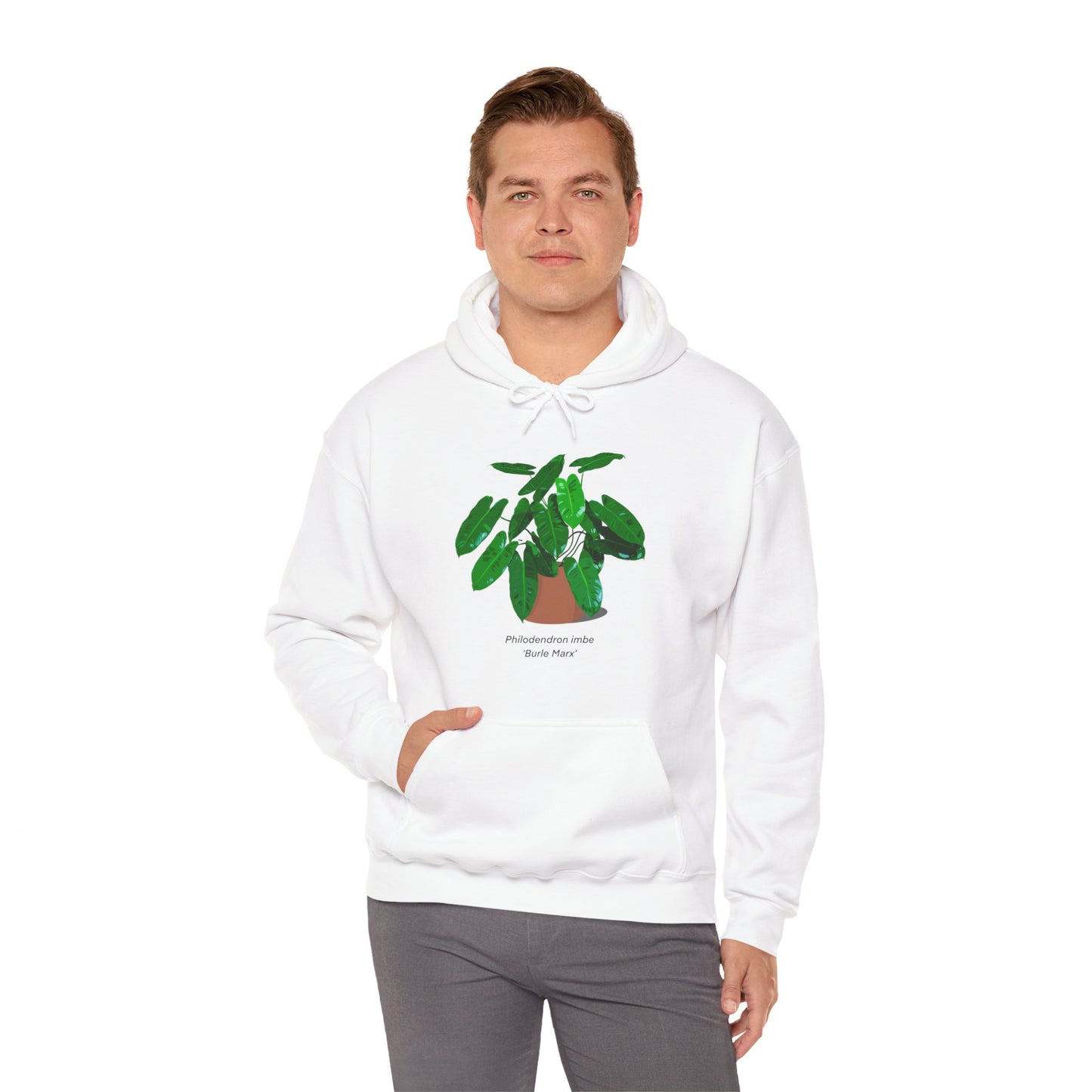 Philodendron Imbe 'Burle Marx' Plant Hoodie - White