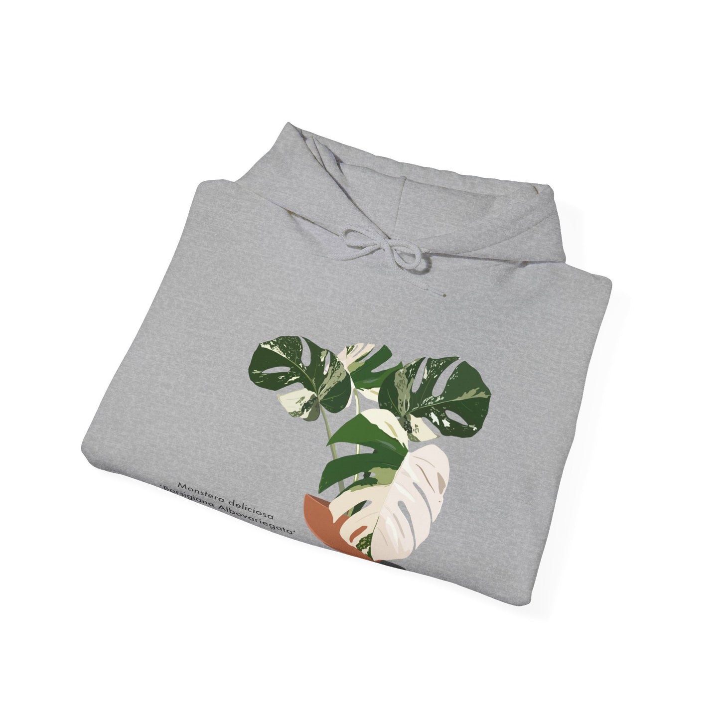 Monstera Deliciosa Borsigiana Albovariegata Hoodie - Grey
