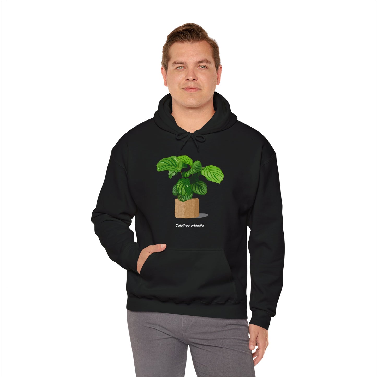 Calathea Orbifolia Plant Hoodie - Black