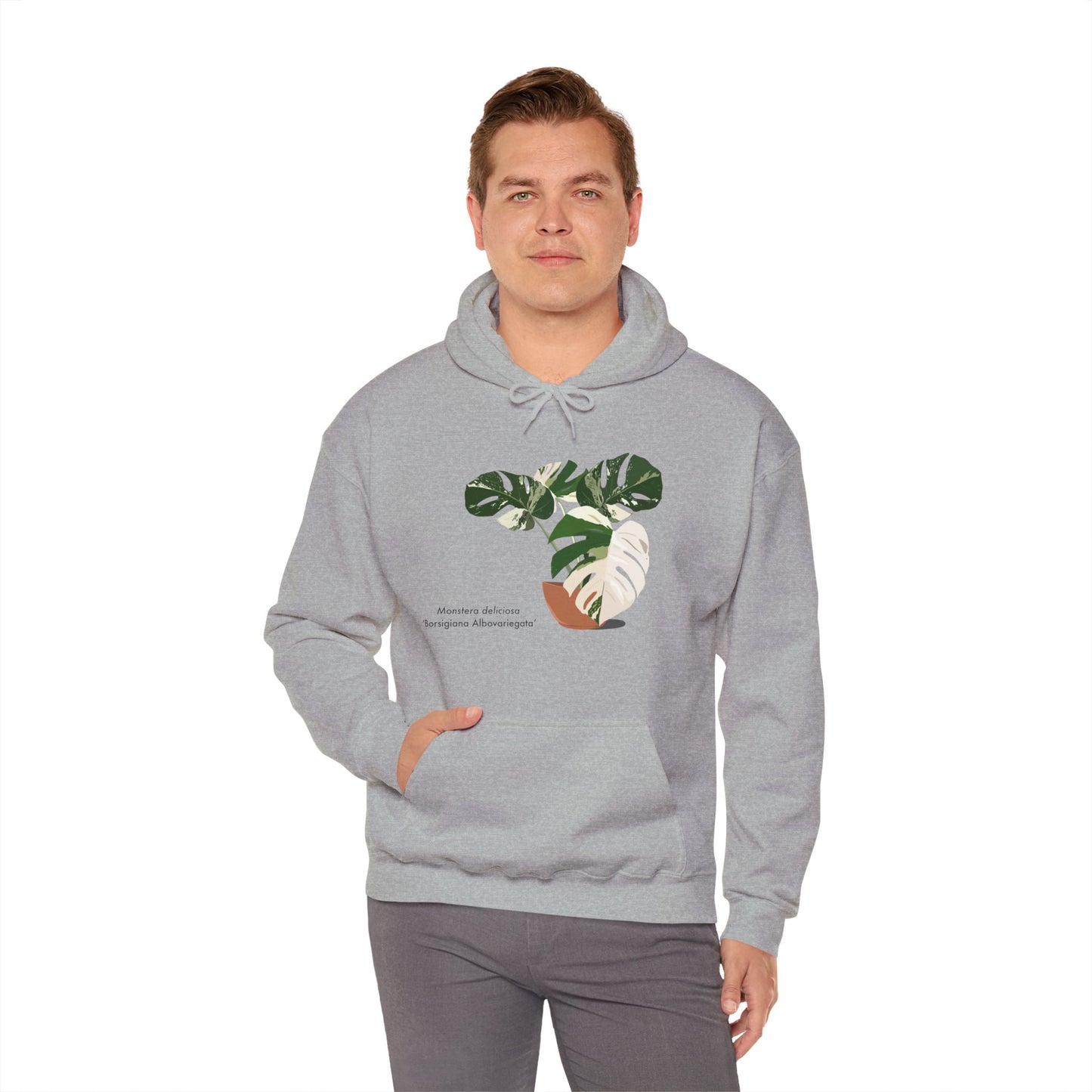 Monstera Deliciosa Borsigiana Albovariegata Hoodie - Grey
