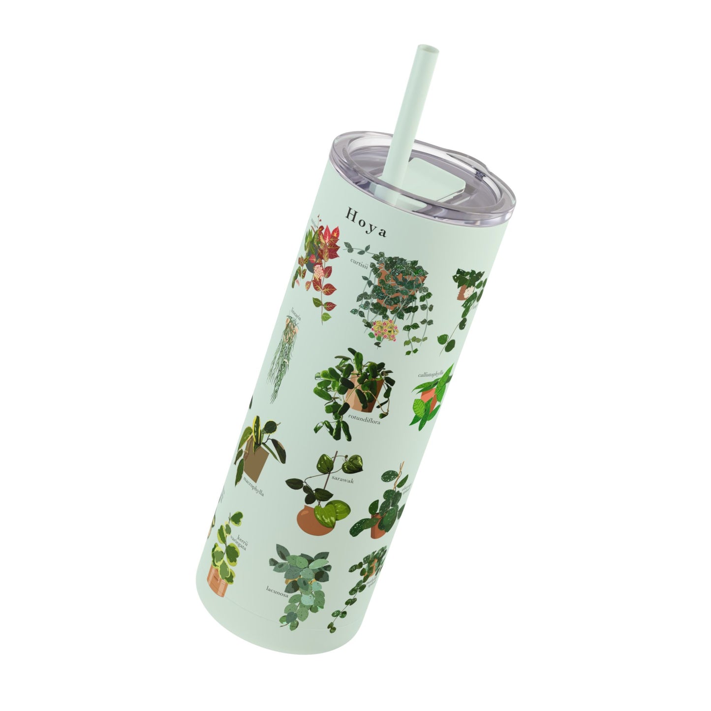 Hoya Chart Original Design on Maars Maker Skinny Matte Tumbler 20oz